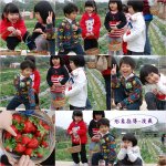Blog-24jan10-3