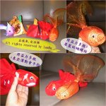 Blog-29jan10-3