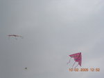100205-CNY-SZ-10