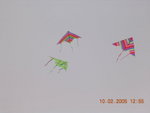 100205-CNY-SZ-17
