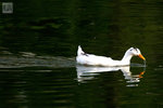 IMG_5687