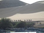 Camel riders along the river bank...