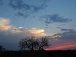 There is beautiful sunset scenery in South Africa.