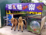 06052008954