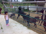 06052008975