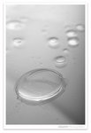 drops01