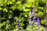 CRW_8040