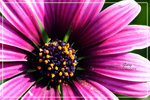 CRW_8054