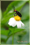 CRW_9736