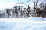 _MG_0297