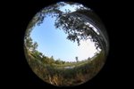 DPP_0046