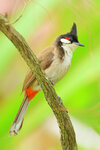181A2351