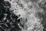 IMG_8729