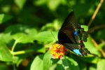 IMG_8756