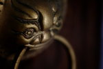 IMG_8802