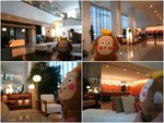新宿Sunroute Hotel，都幾靚喎