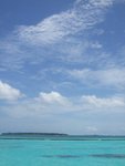 DSCF0115