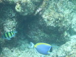 DSCF0258