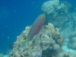 DSCF0281