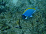 DSCF0301