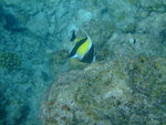 DSCF0324