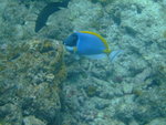 DSCF0333