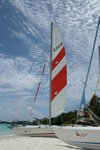 IMG_0712