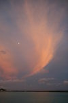 IMG_0878