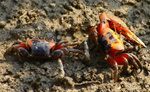 IMG_1819_01