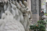IMG_3639