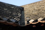 IMG_4711