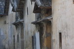 IMG_4719