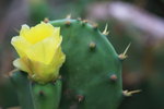 IMG_5721