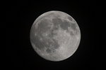 IMG_0477