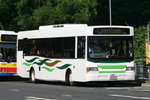 IMG_4558