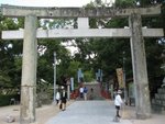 IMG_1245