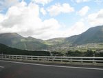 IMG_1357