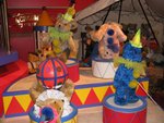 IMG_1962