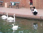 IMG_2038