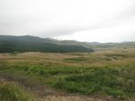 IMG_2520