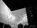 IMG_3903-R
