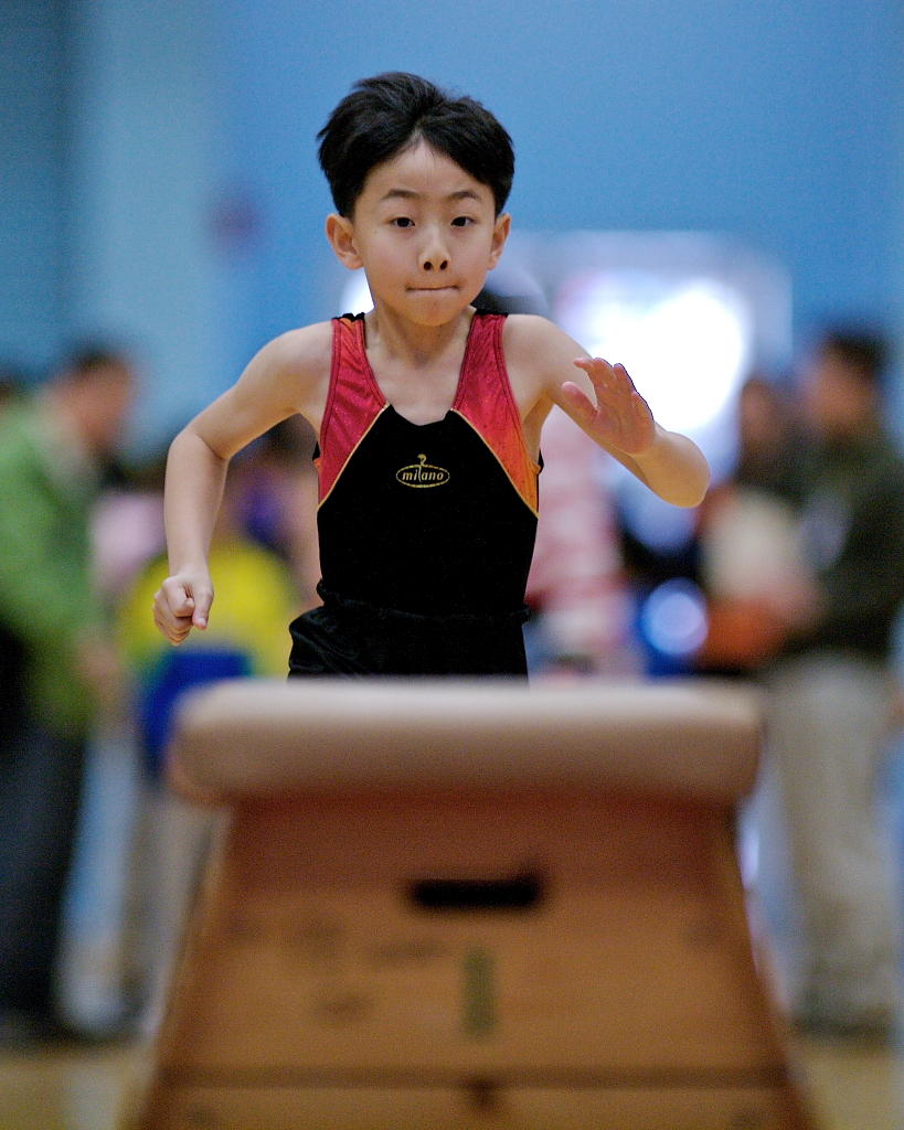 HKSSF 2007-2008 Inter-school Gymnastics Competition (Primary Schools ...