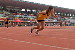 VP1B9515
