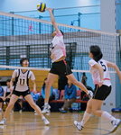 VP1B8731 - Version 2