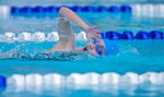 090B0431 - Version 2
