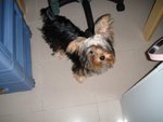 DSC00010