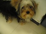 DSC00028