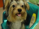 DSC00053
