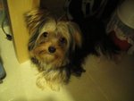 DSC00056
