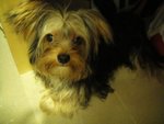 DSC00057